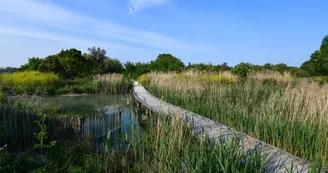 Marais de Tasdon